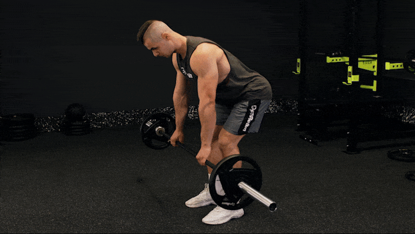 Kako pravilno izvesti veslanje u pretklonu?