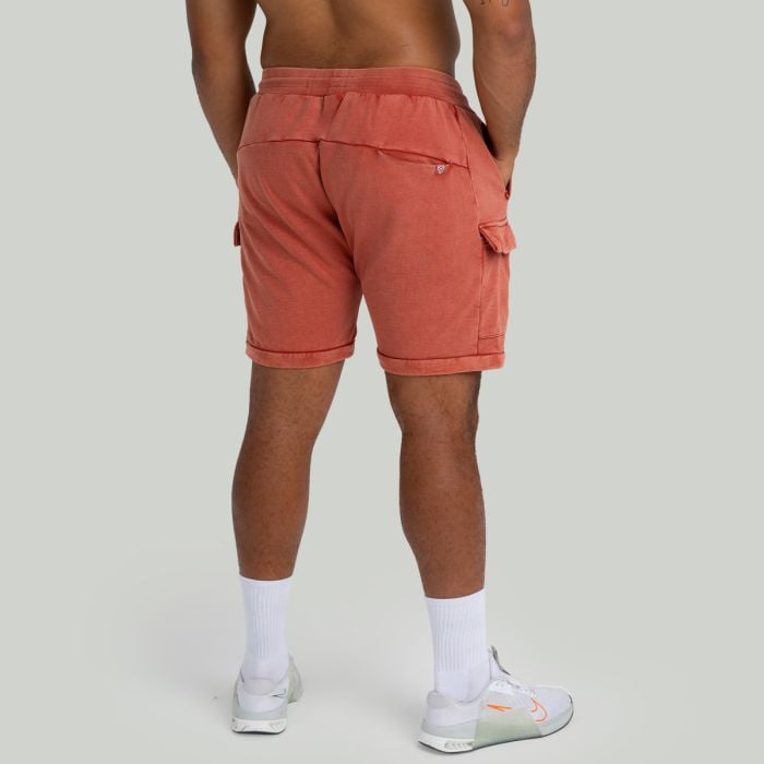 Muške kratke hlače Washed Terra - STRIX L