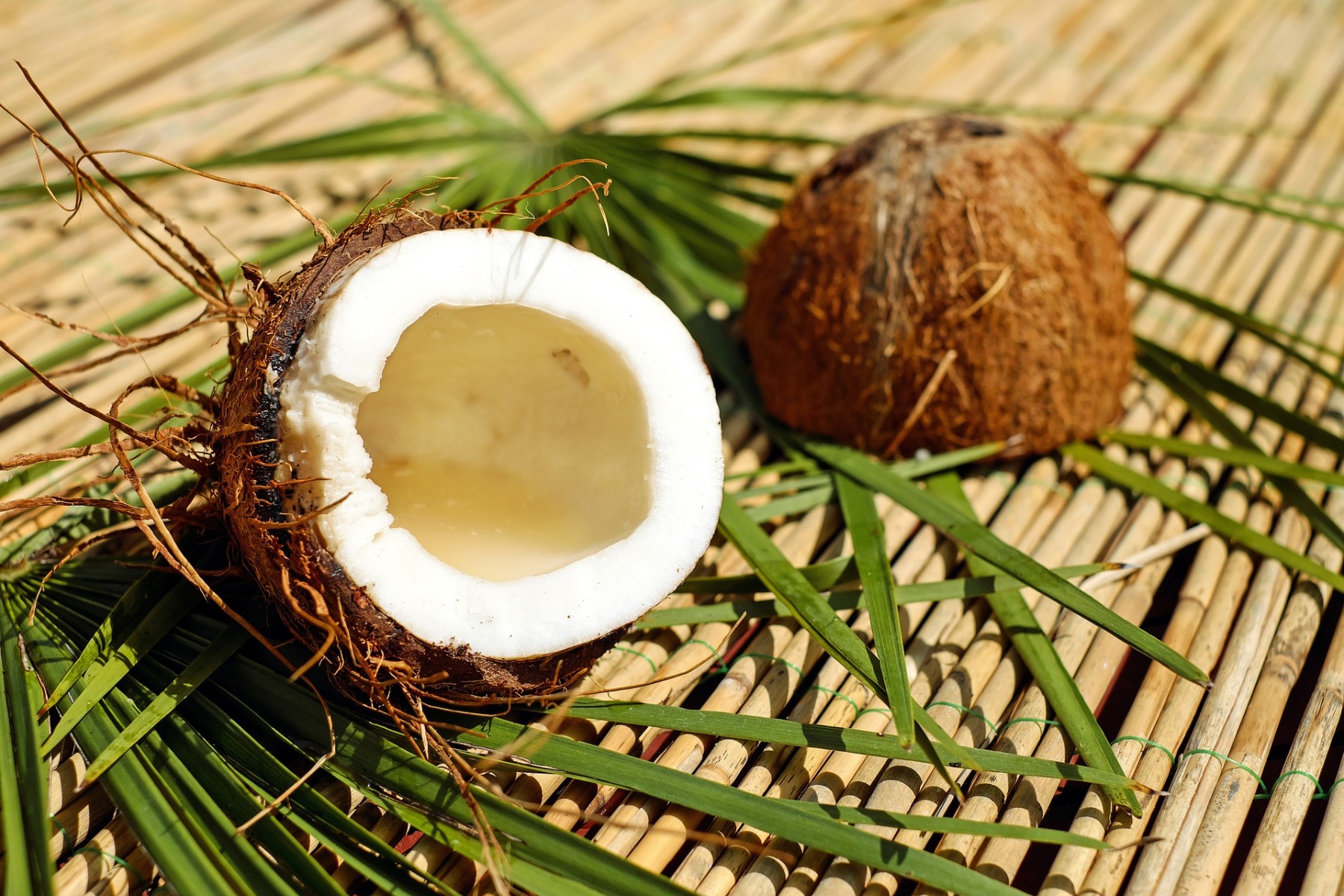 BIO djevičansko kokosovo ulje - Wolfberry